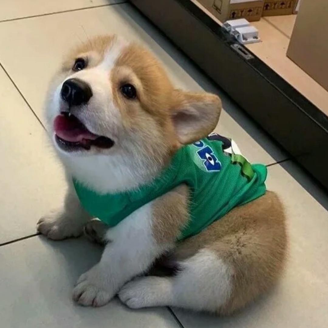 认真学做菜的33