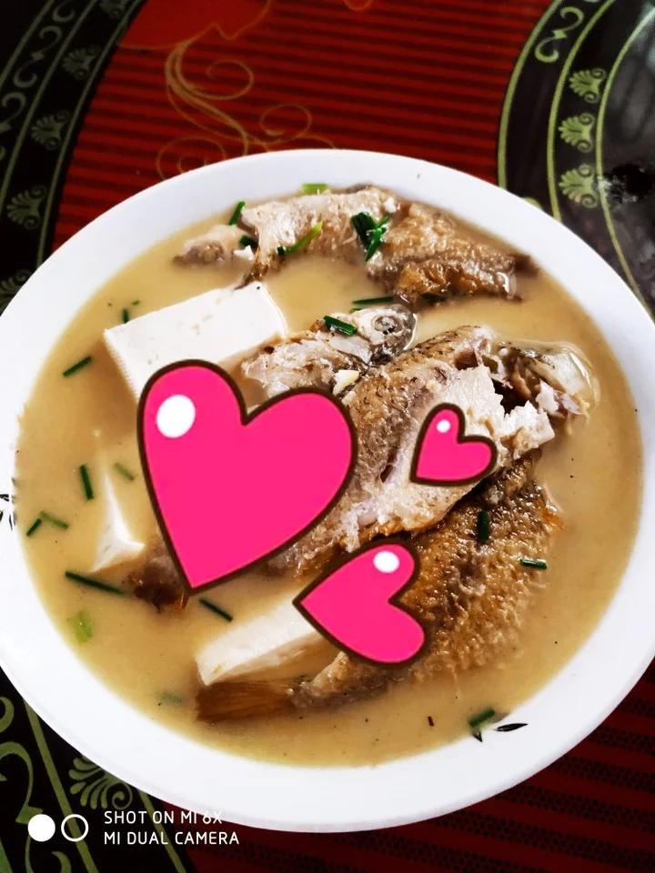奶白鲫鱼豆腐汤