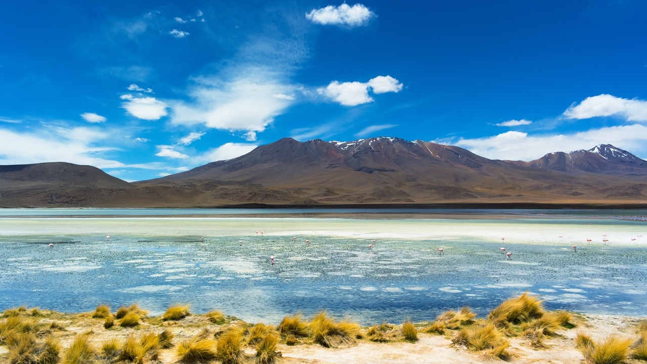 面朝大海  春暖花开