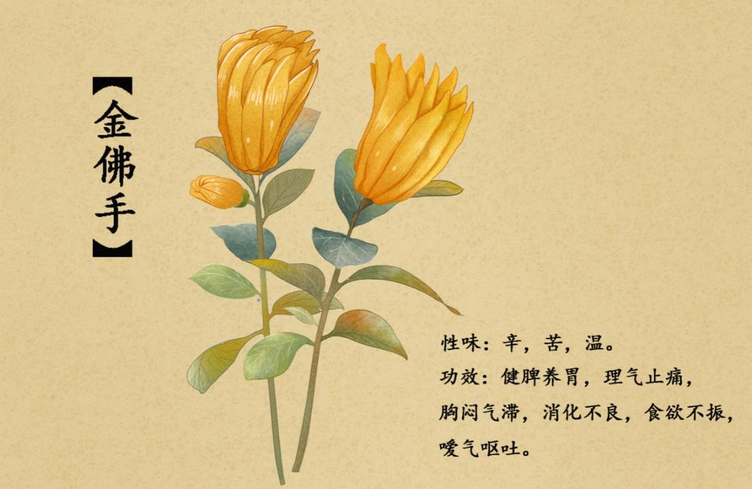 佛手理气茶