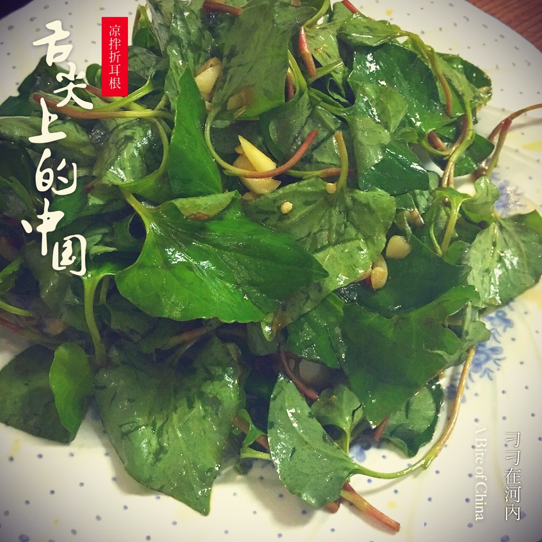 凉拌折耳根