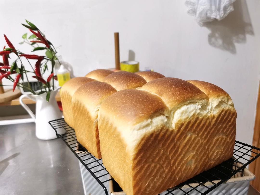 全蛋版本的直接法北海道吐司