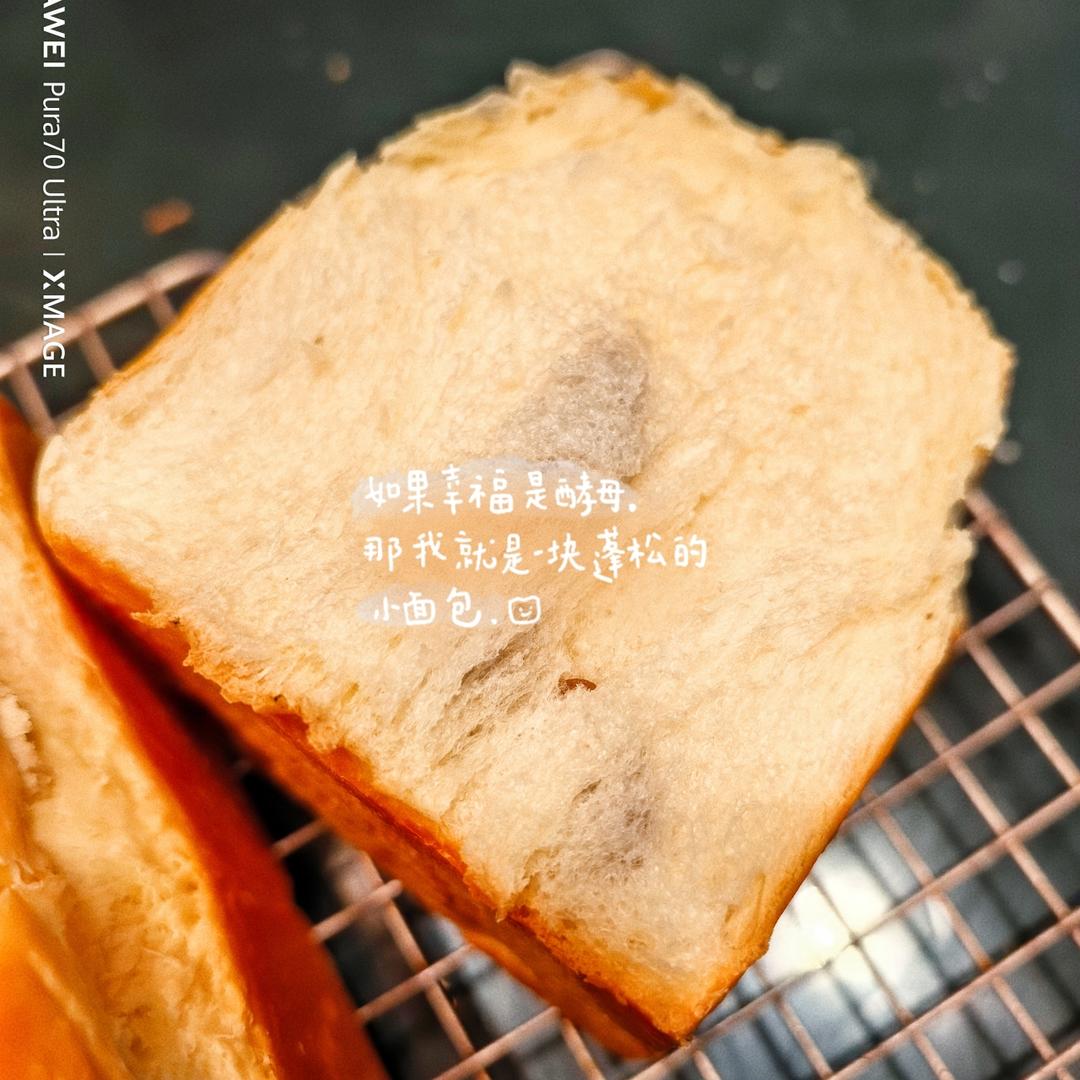 一整个蛋吐司（超好记的万能吐司配方）