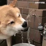 御膳坊一品掌勺大厨