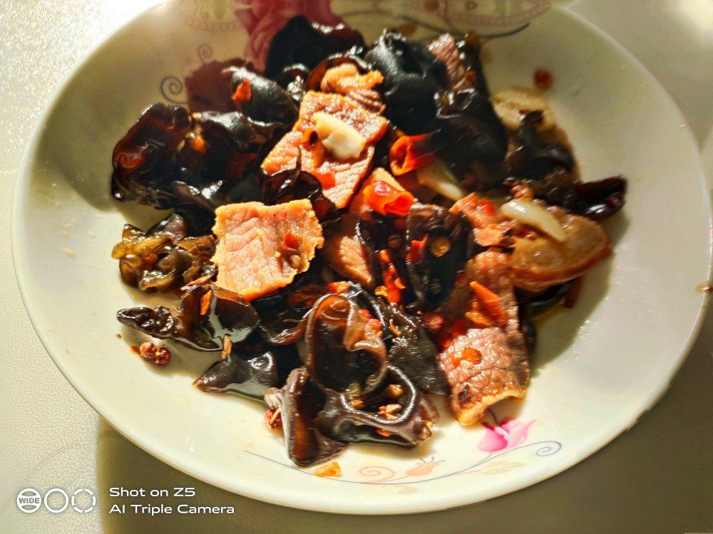 木耳肉片