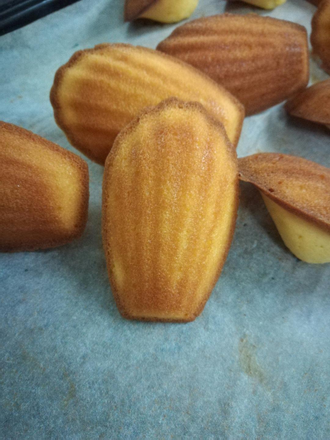 玛德琳蛋糕