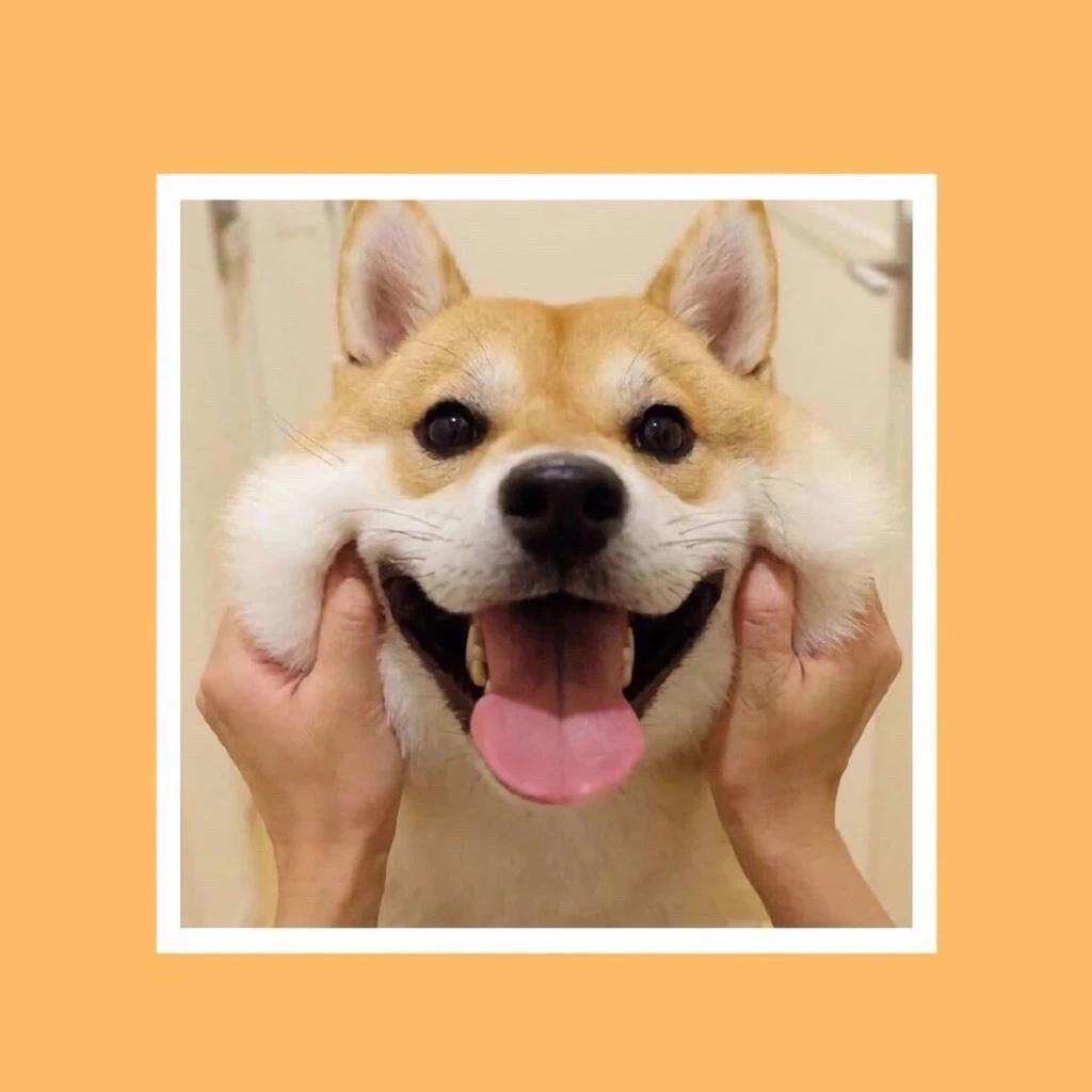 布朗君呀