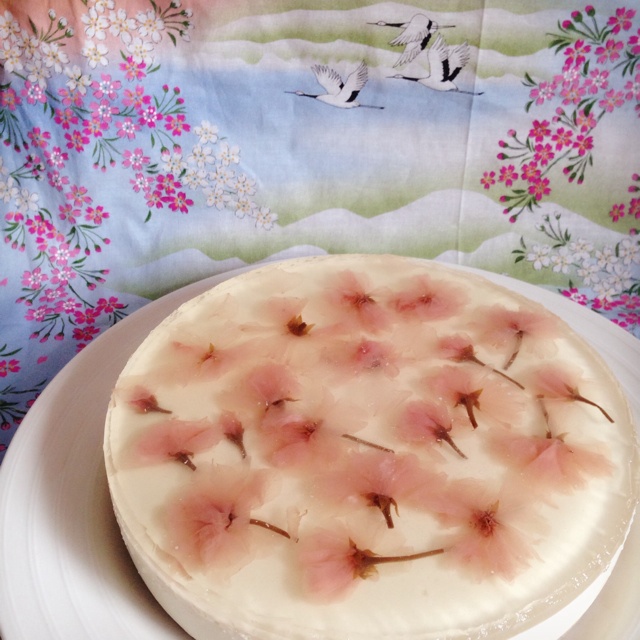 冻酸奶芝士蛋糕