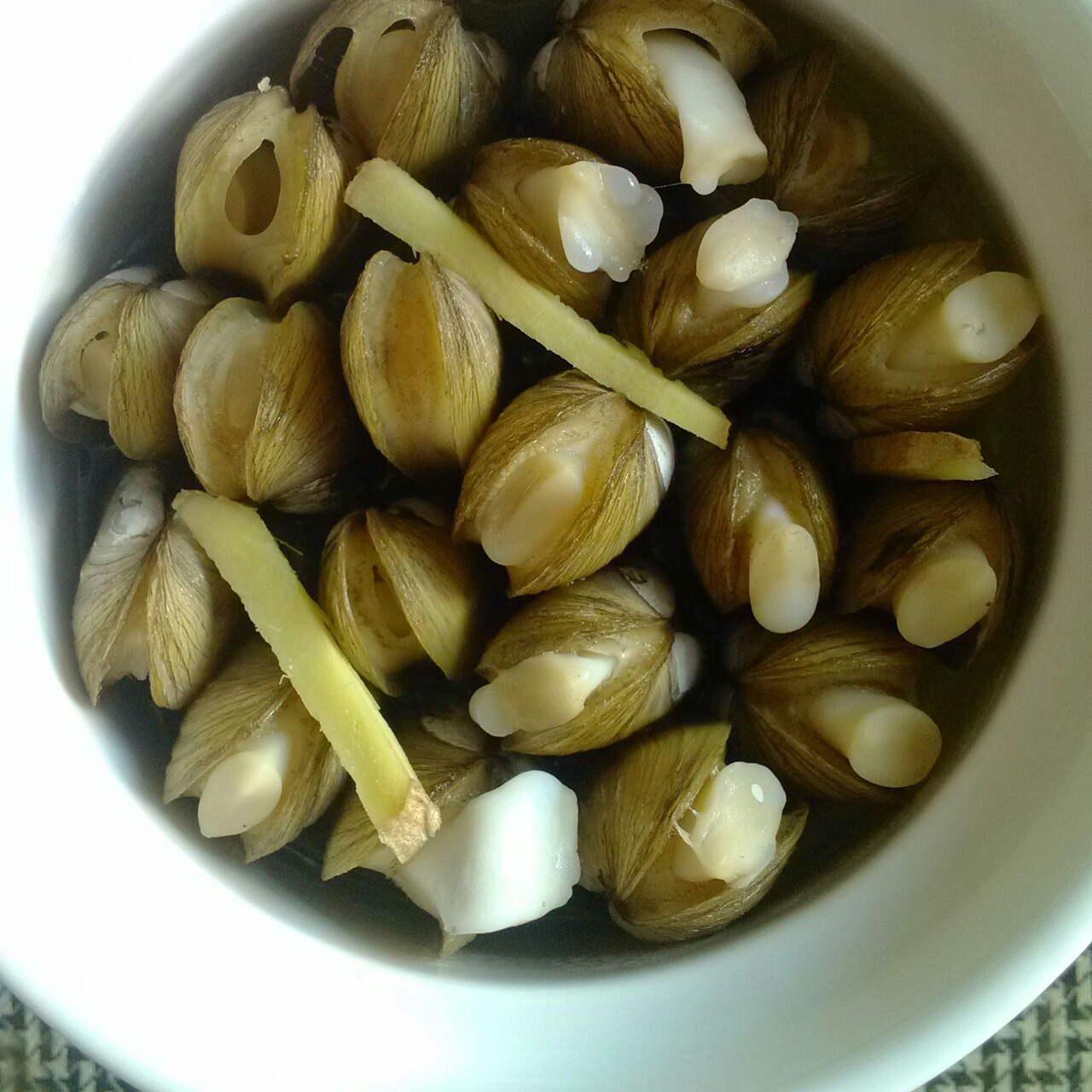 珍妮的梦_zchv做的原汁原味的插蛏(蛏子)