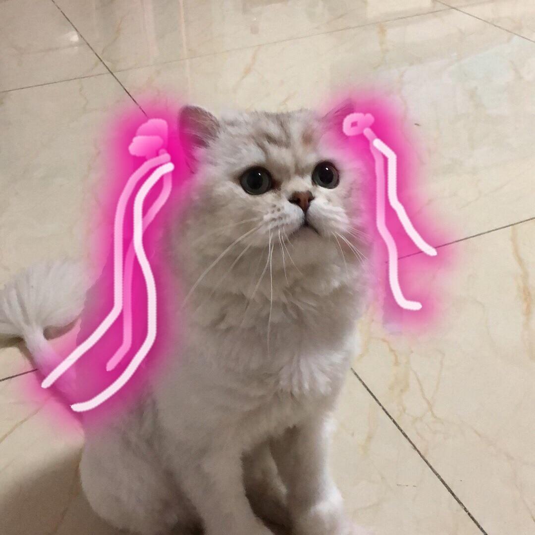 吕先森家的厨房