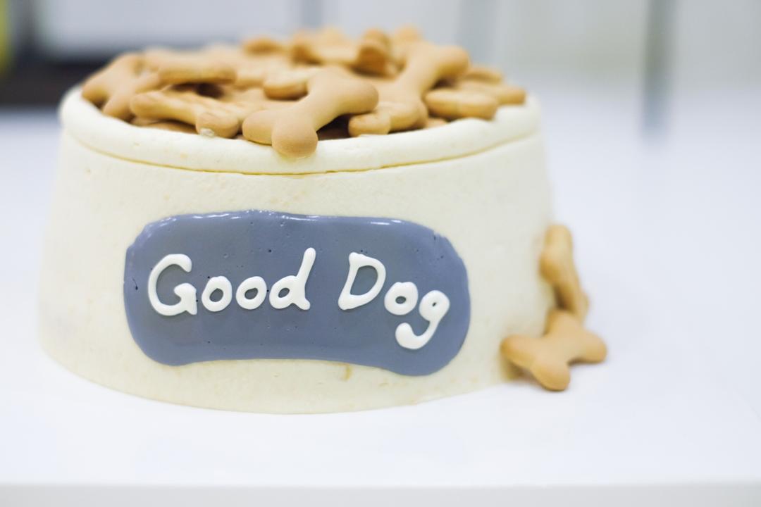 胖也是一种能力。