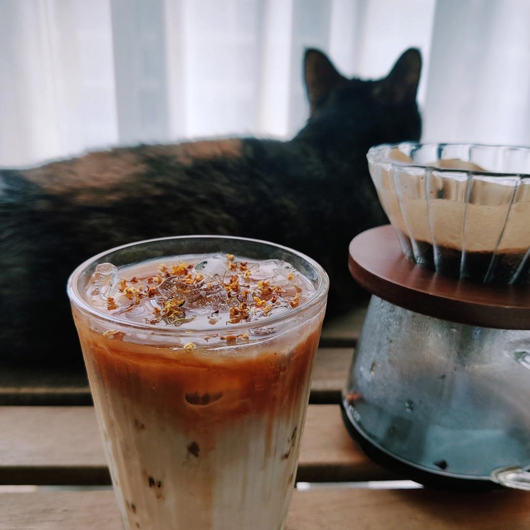 自制桂花拿铁🍯 请帮我打包一杯秋天