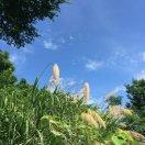 手机用户8179_tiar的厨房