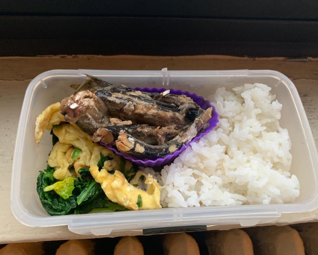 带饭日记