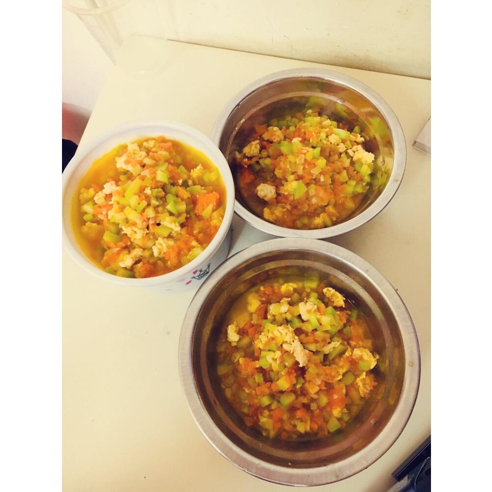 狗狗鲜食——色彩的密码