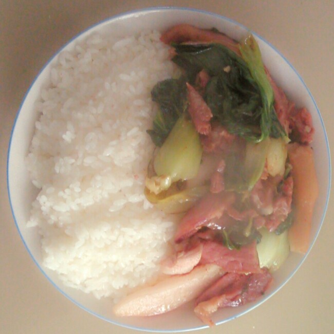 自制大肉饭