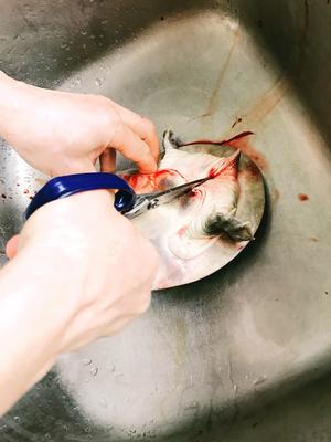 红烧甲鱼煲的做法 步骤1