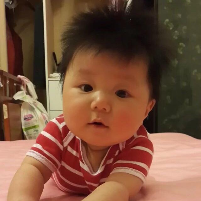 茗香晋岚