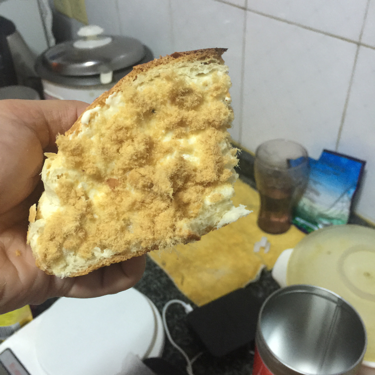 奶酪包和肉松包