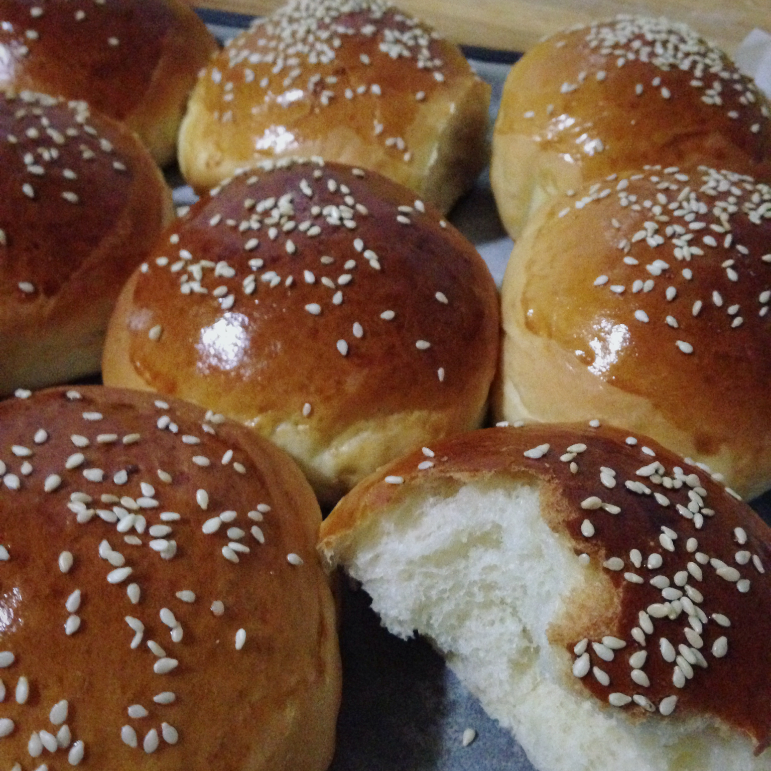 鲜奶油小餐包（一次发酵）