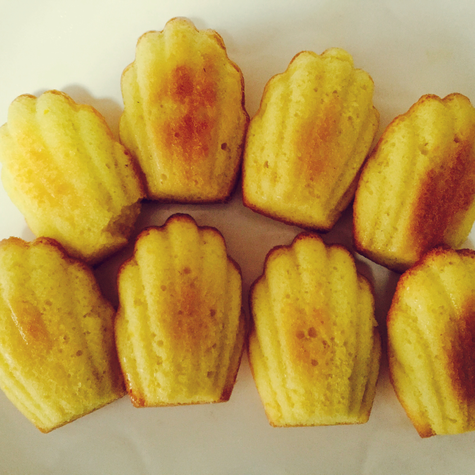 玛德琳（蓝带方）