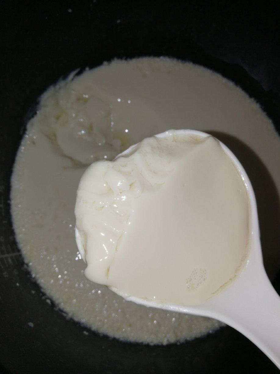 自制豆腐、豆腐脑（超详细）
