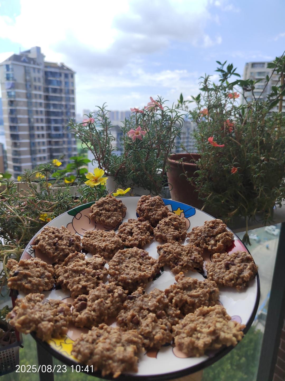 🔥酥掉渣的燕麦饼干🍪