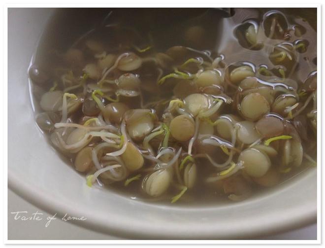 sprouted lentil soup (发芽小扁豆·兵豆汤)的做法