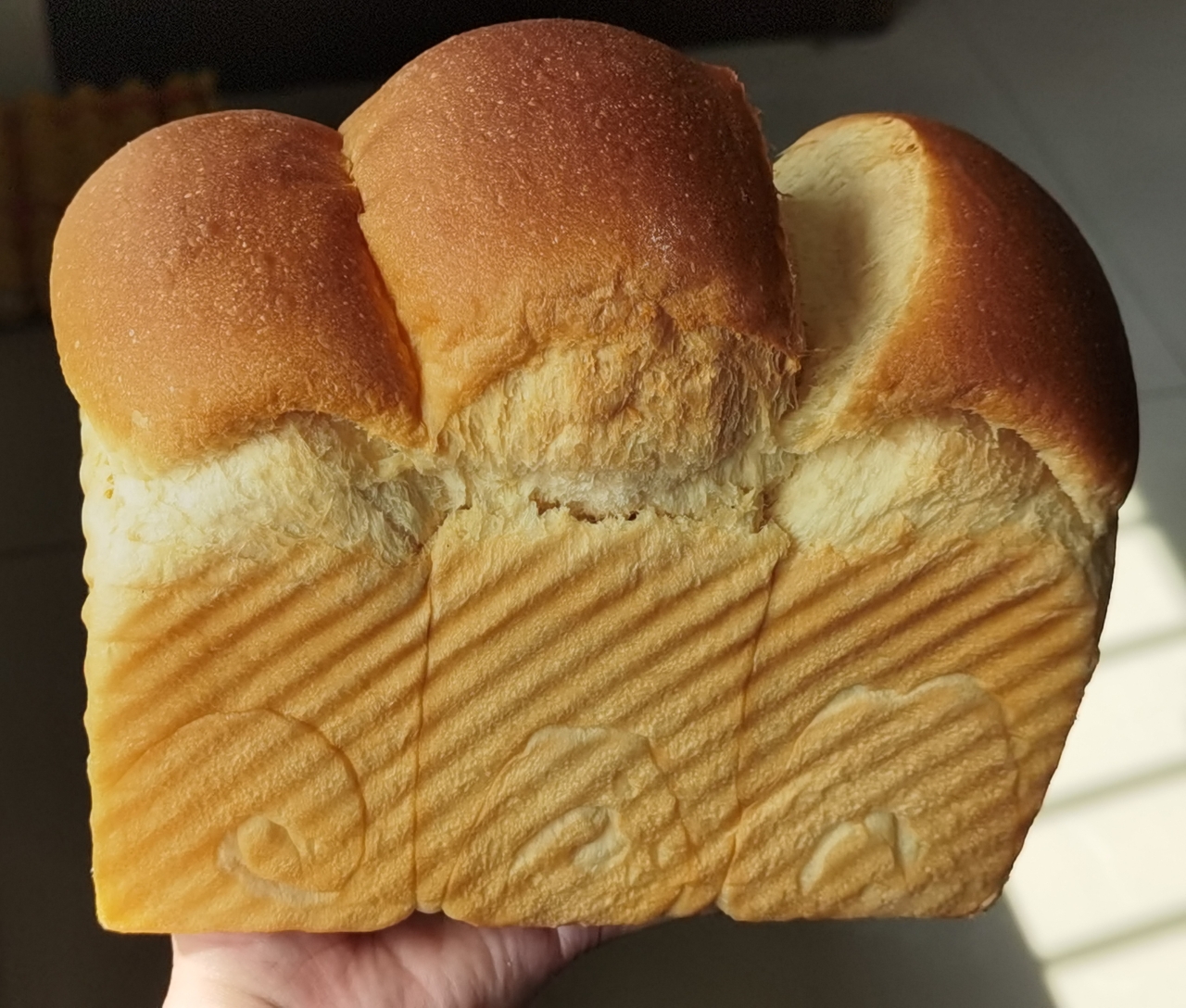 万用的吐司，面包🍞配方计算法（波兰种）