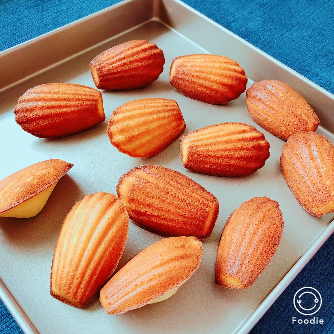 玛德琳（蓝带方）