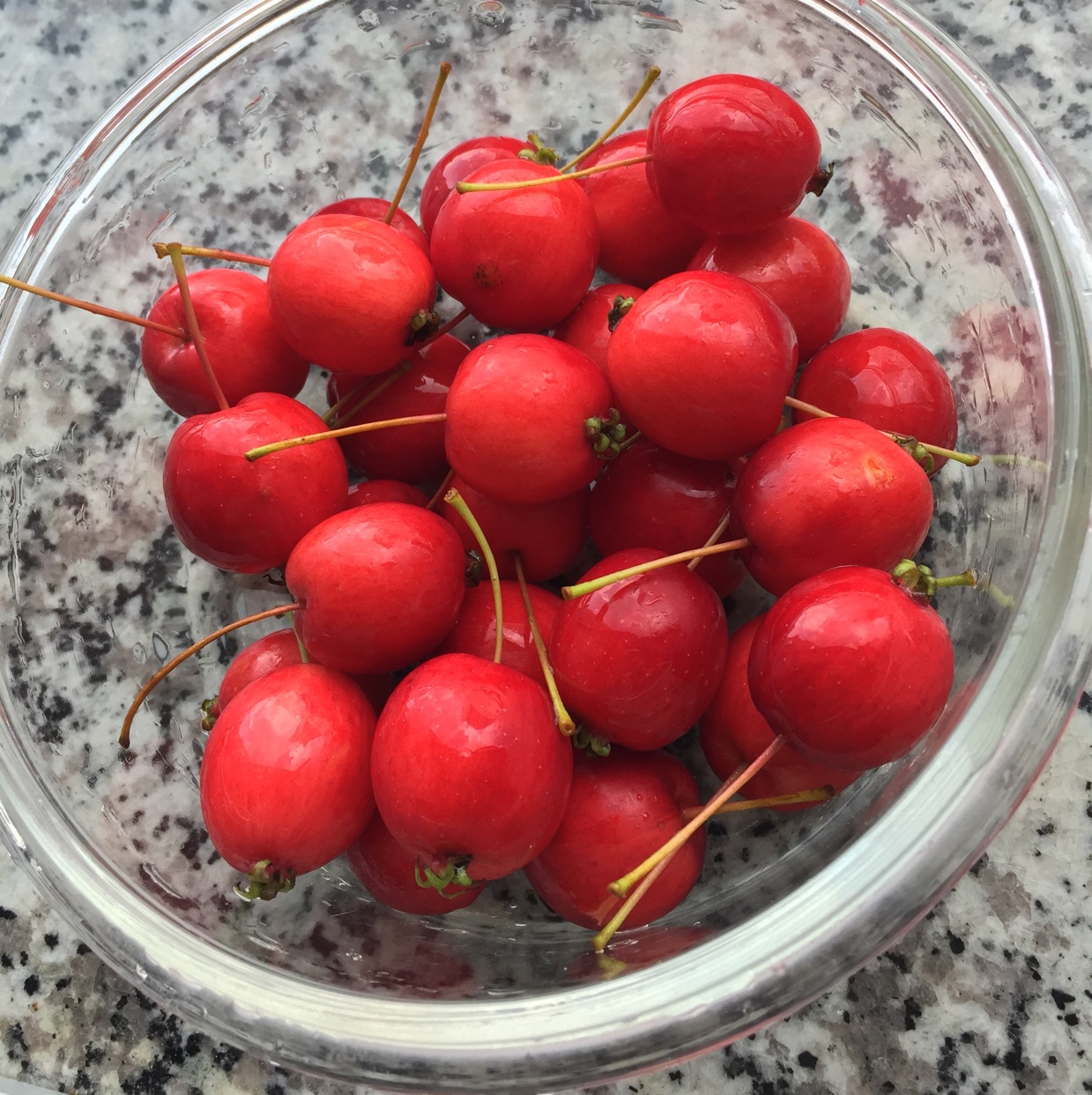 这是我们这儿的红铃铛果,看着红红的,可是酸的很,不过煮糖水还是不错!