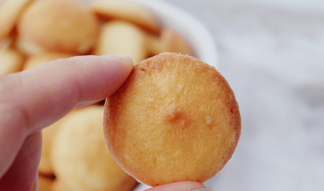 蛋白小饼干