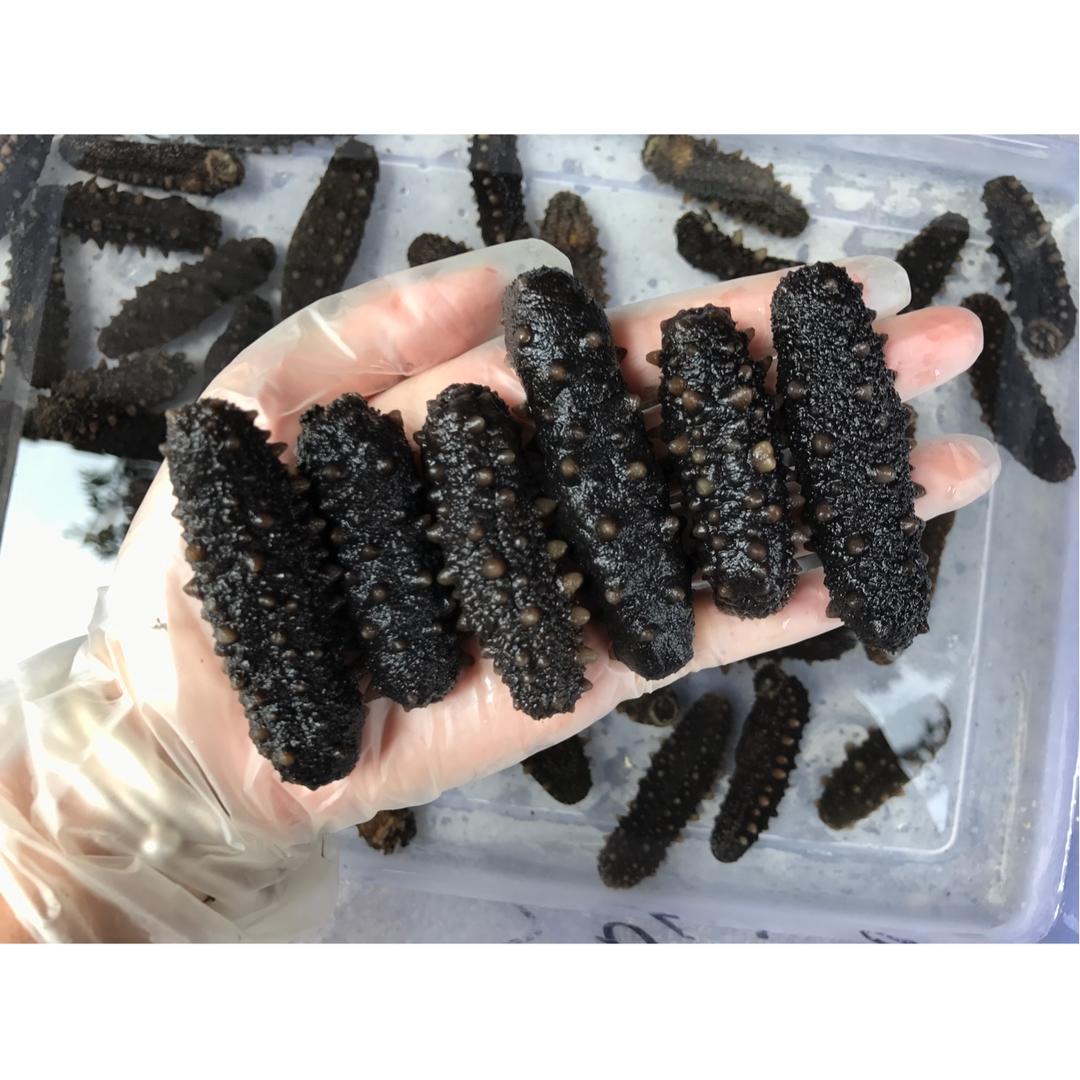 海参泡发•（新手学得会）