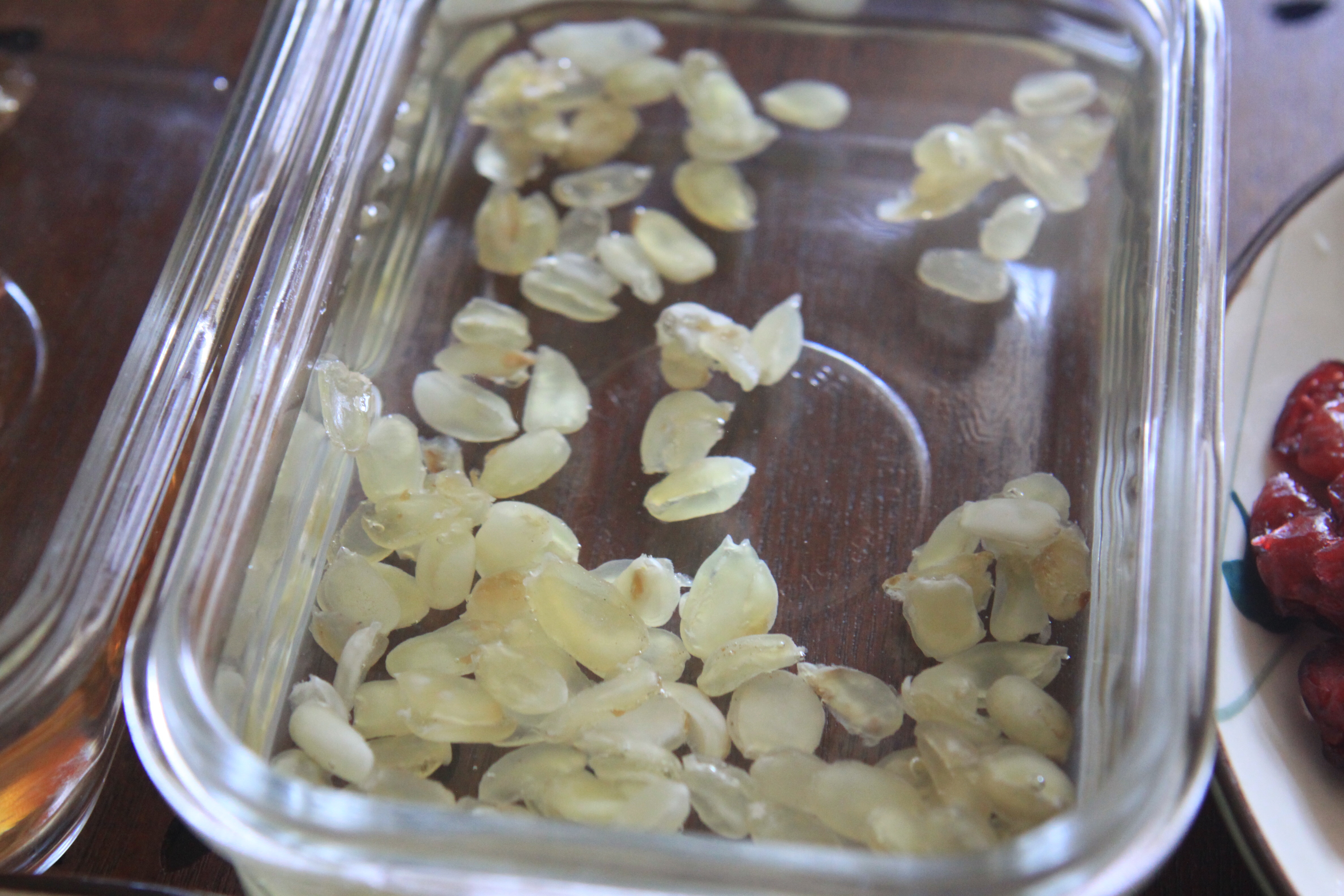 桃胶皂角米❤️鲜炖燕窝的做法 步骤4