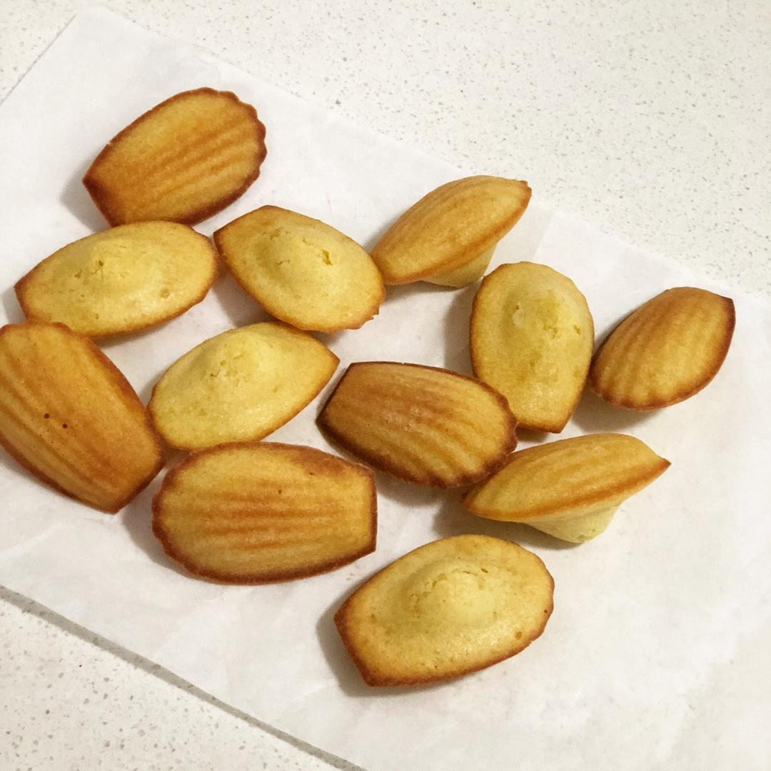 玛德琳（蓝带方）