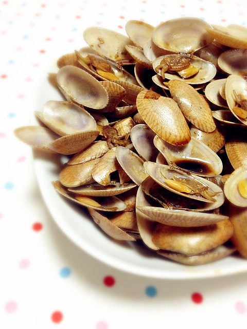 今晚因为花虫合而美好