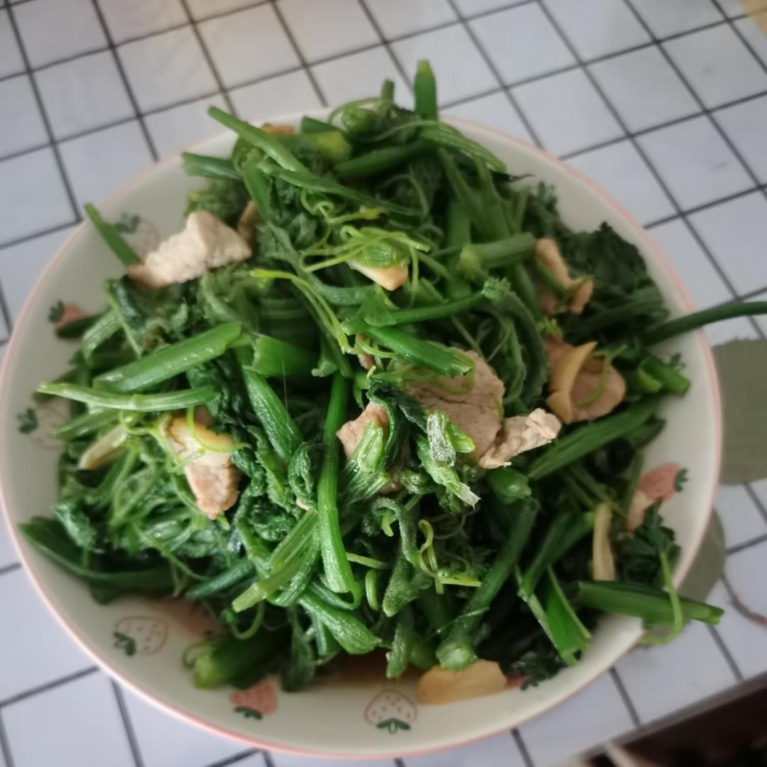 蒜蓉南瓜藤（附：撕瓜藤技巧）