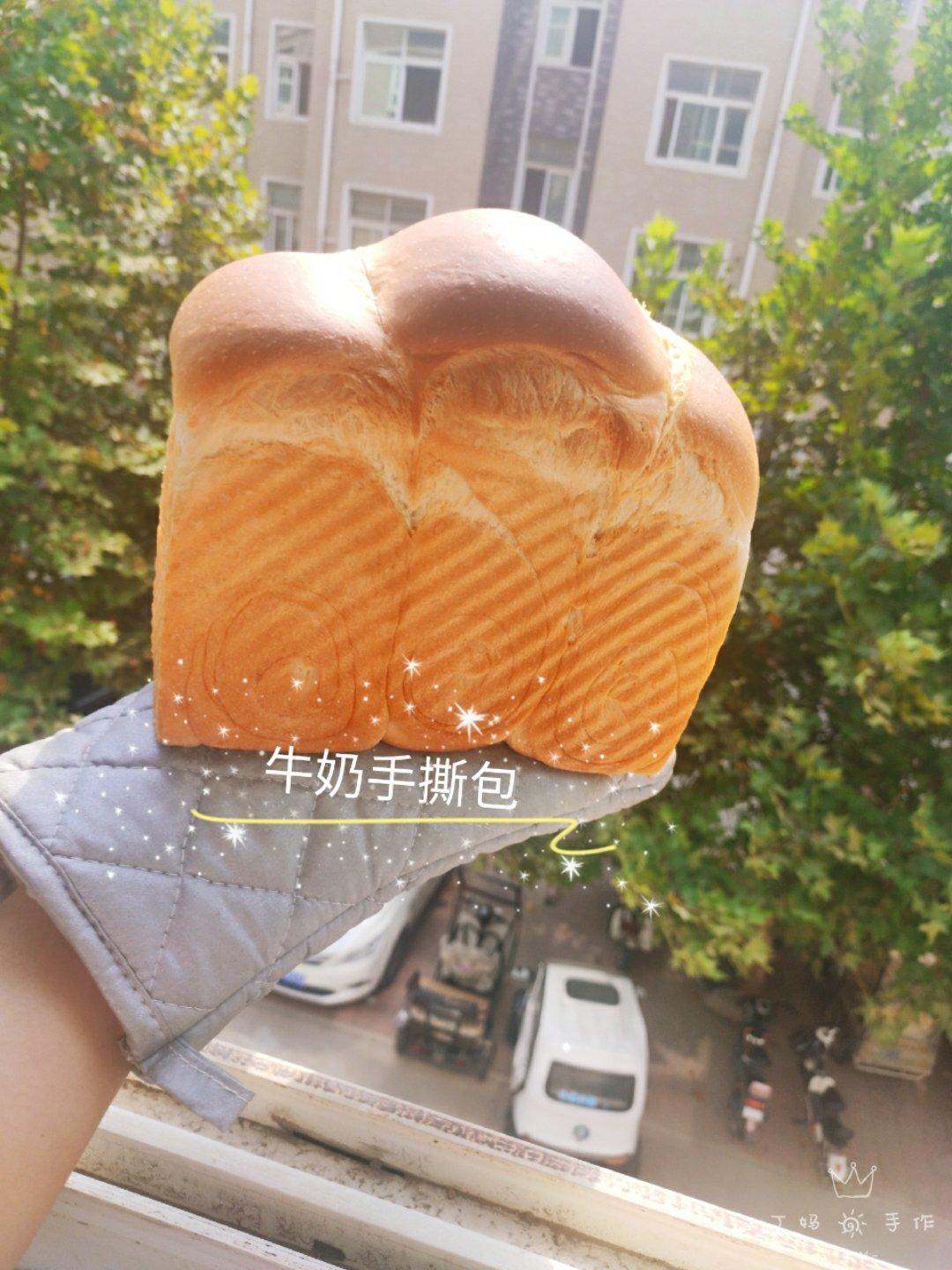 一份关于手撕吐司的跟风笔记