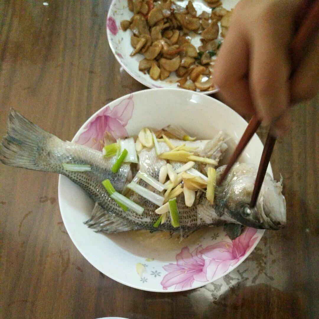 清蒸鲈鱼