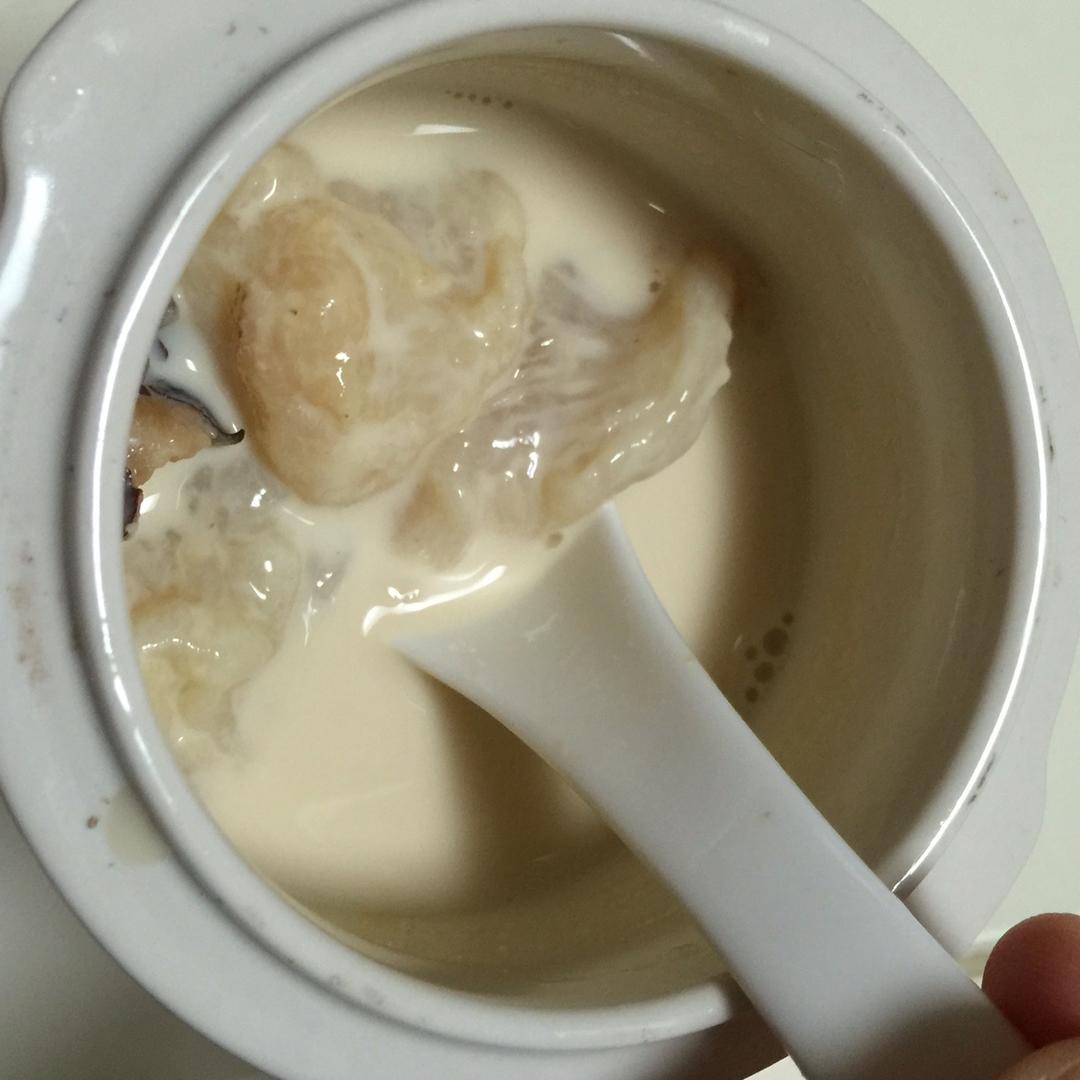 鲜奶炖花胶