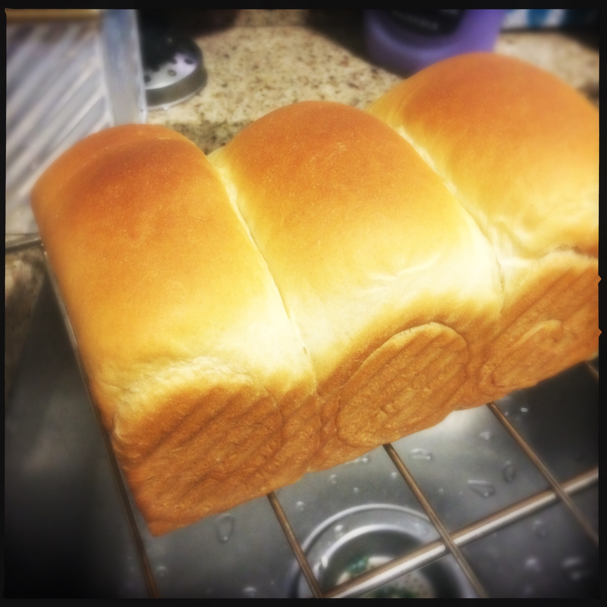 最好吃的吐司～70%中种北海道