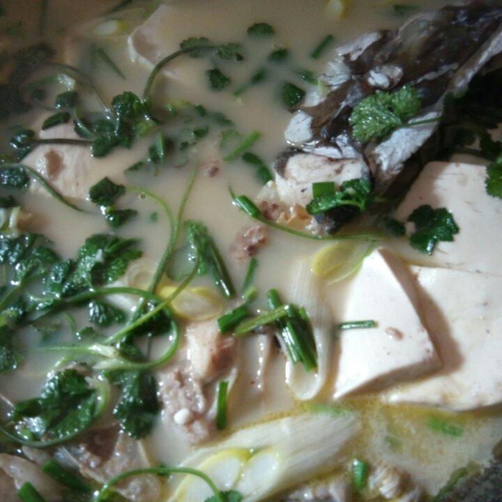鱼头豆腐汤