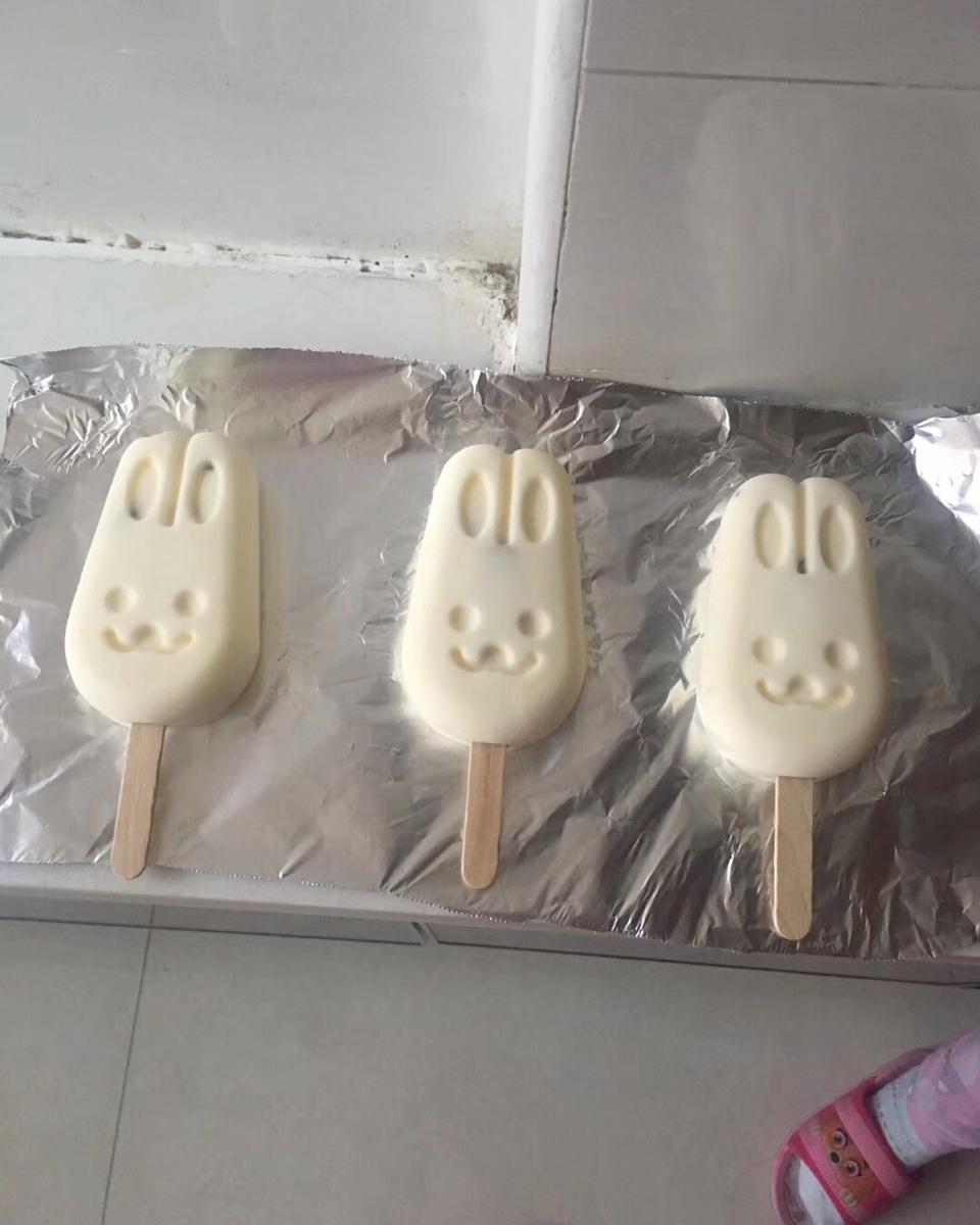 最简单快手的雪糕——酸奶雪糕（附变化版本）