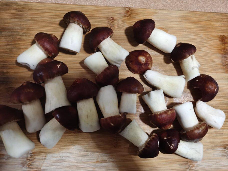 明明是素汤 却鲜得像鸡汤一样的「口蘑汤」