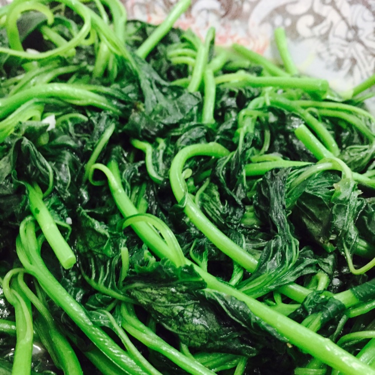 就吃窝边草的兔子做的清炒蓬蒿菜