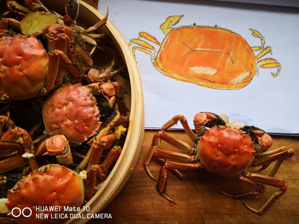 清蒸大闸蟹