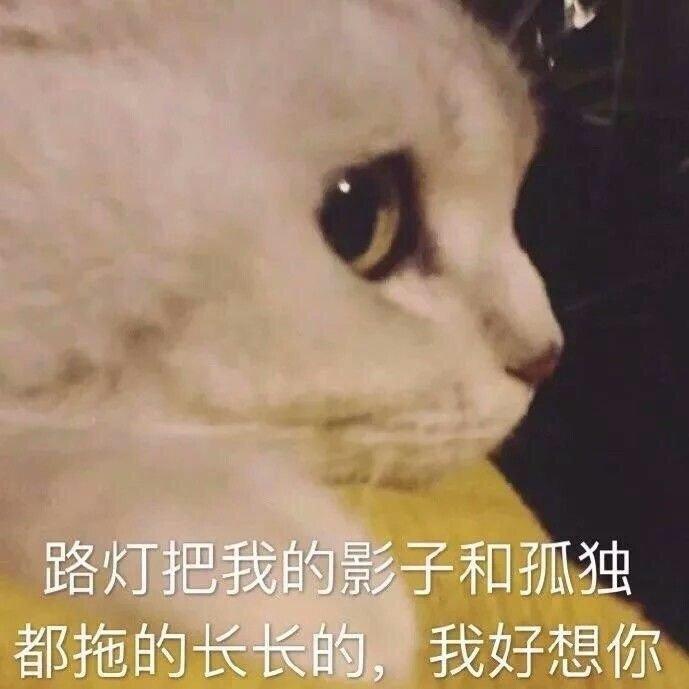 金燕西-