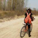 灿烂千阳-Cher-时差3小时