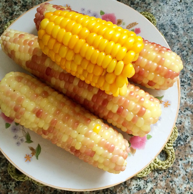 crystal@梓萱做的煮玉米