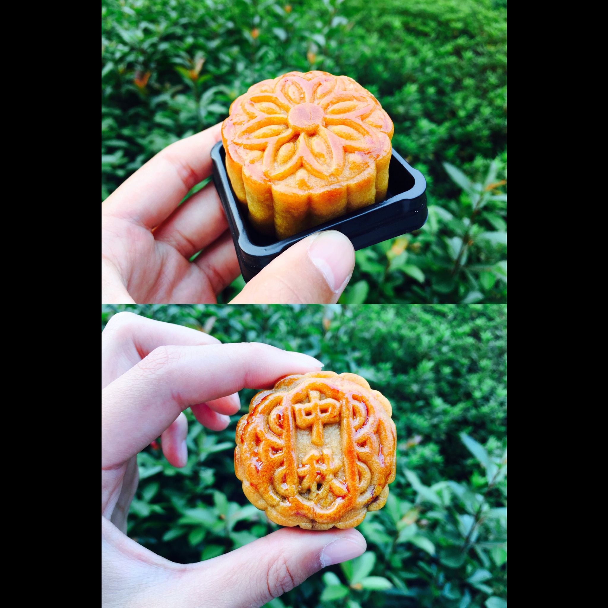 【投食专区】囿于昼夜 厨房与爱